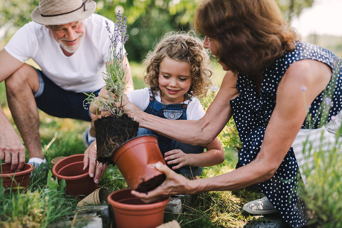 Financial Estate Planning Services | Norton Wealth Management